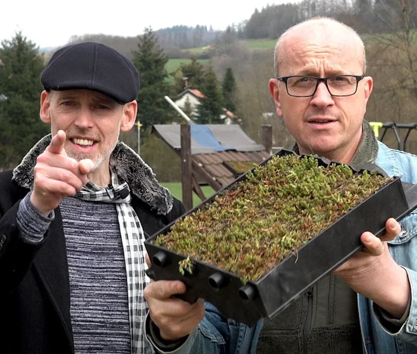 mygreentop - Entwicklerteam (Dirk und Steffen)